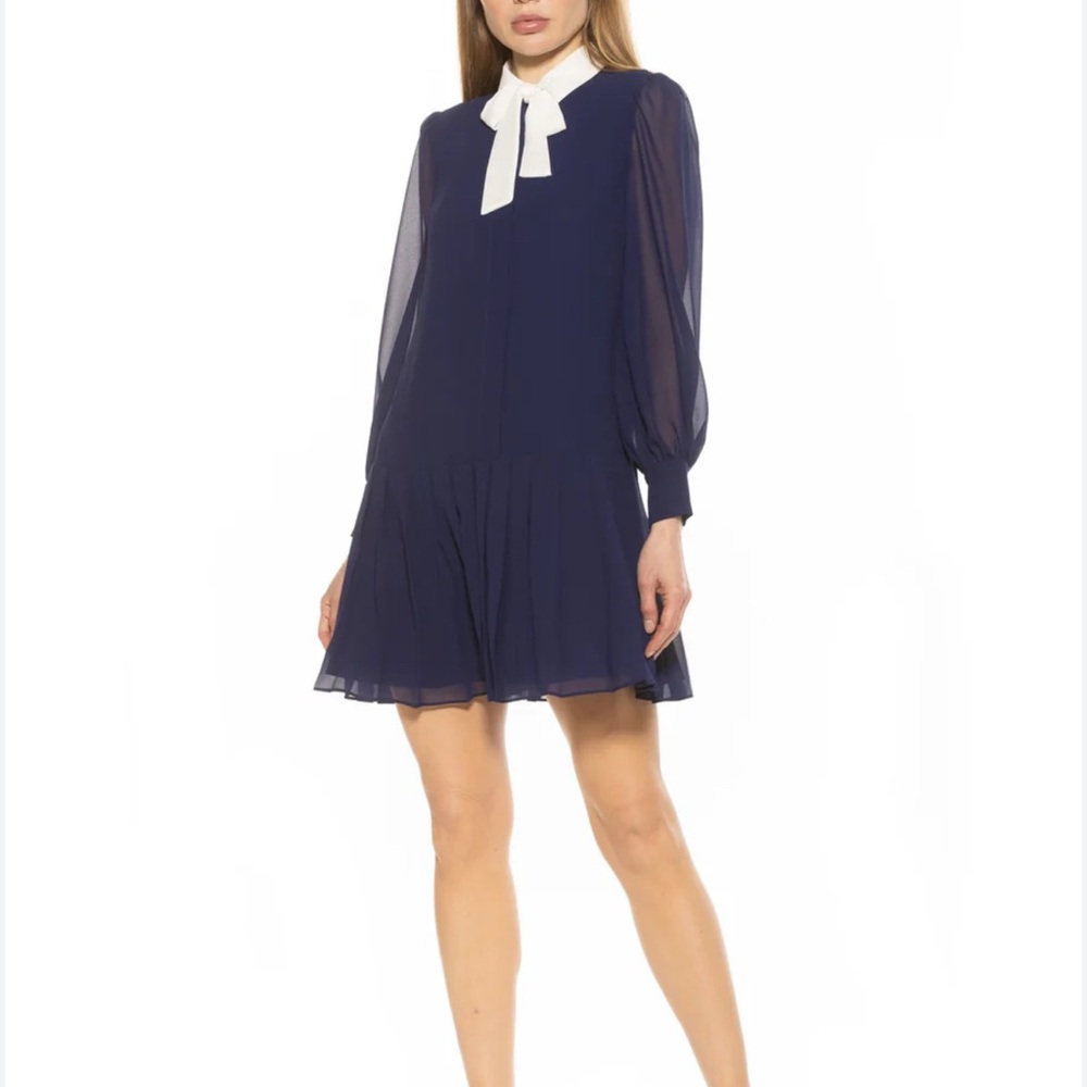 Alexia Admor Navy Dress with White Accent